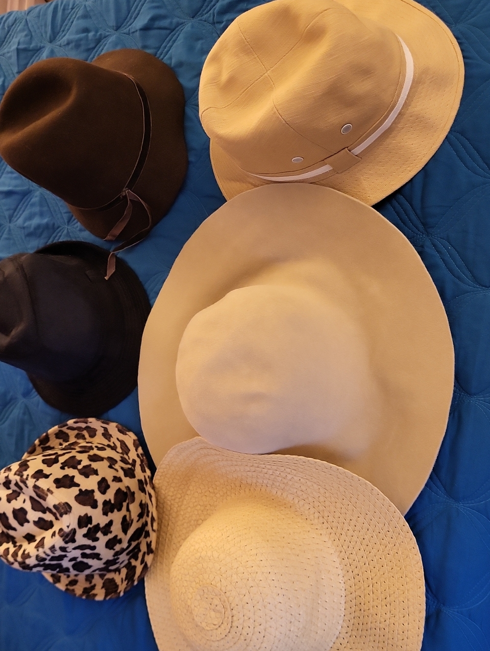 Assorted Women's Hat Bundle - Beige, Tan, Brown, Black, Leopard (Small To Med)